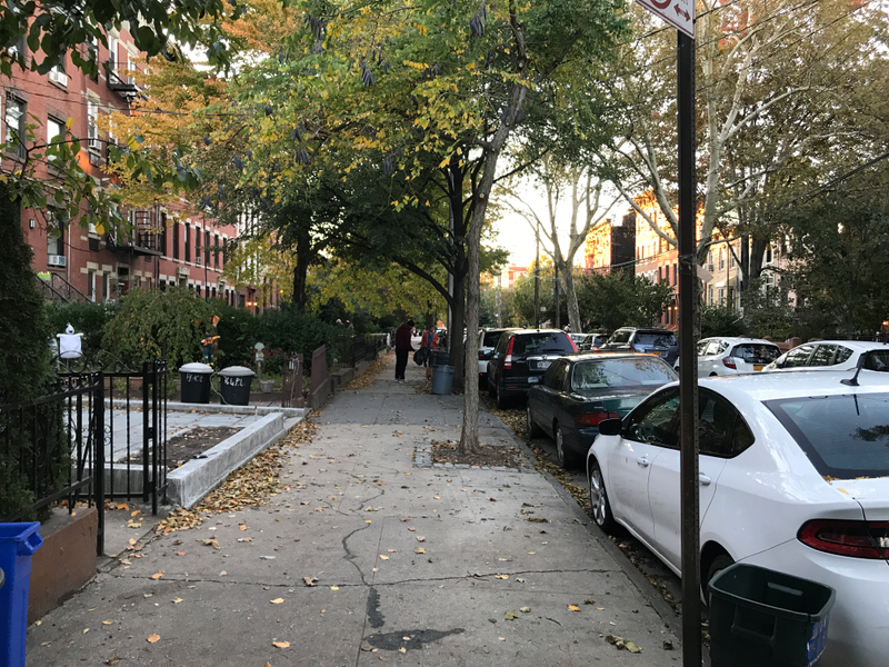 Carroll Gardens.